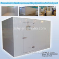 Frozen food walk in freezer room with polyurethane insulated panel